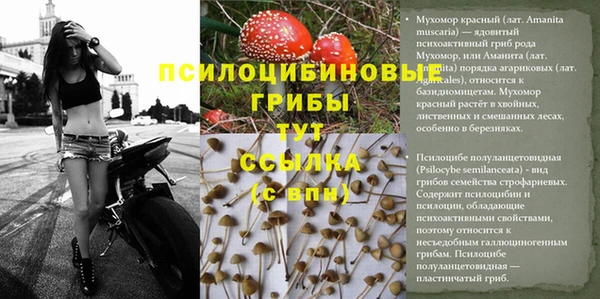 марки lsd Аркадак