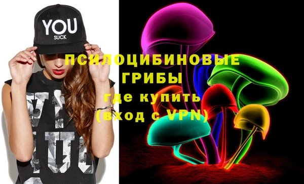 гашик Арсеньев