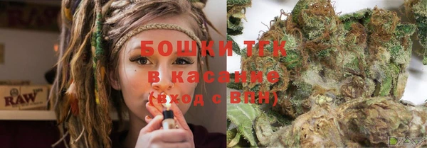 гашик Арсеньев