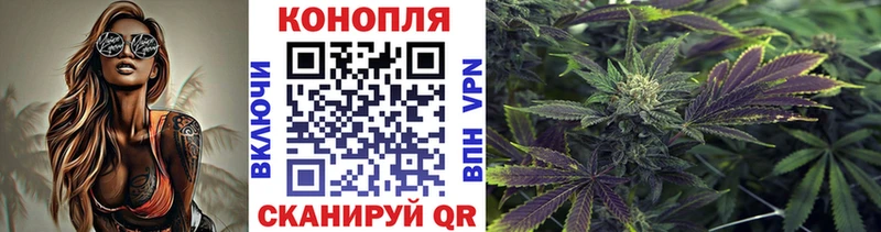 Марихуана гибрид Балей